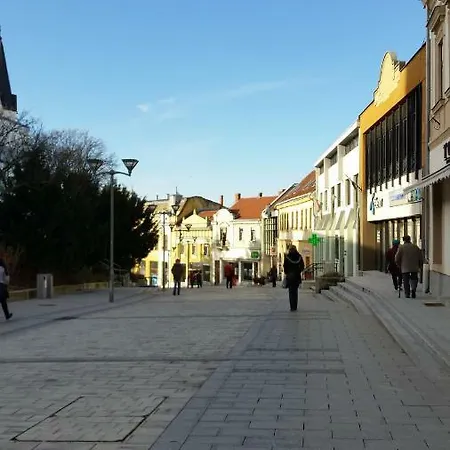 Apartment Sarolt Veszprem